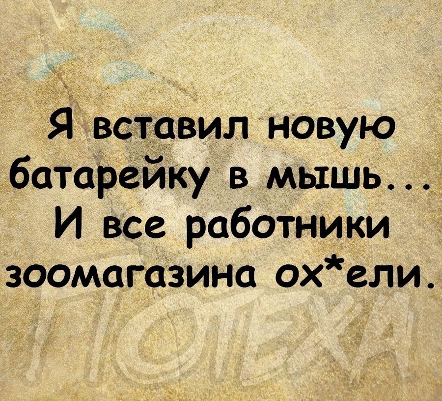 Я вставил новую батарейку в мышь И все работники зоомагазине охели