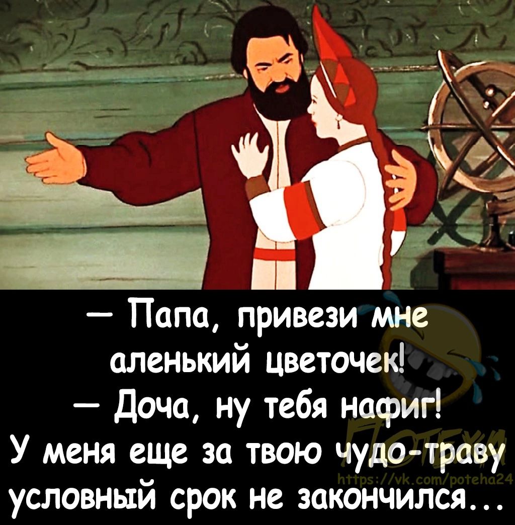 Папа привези мне аленький цветочек доча ну тебя нафиг У меня еще за твою чудо траву условный срок не закончился