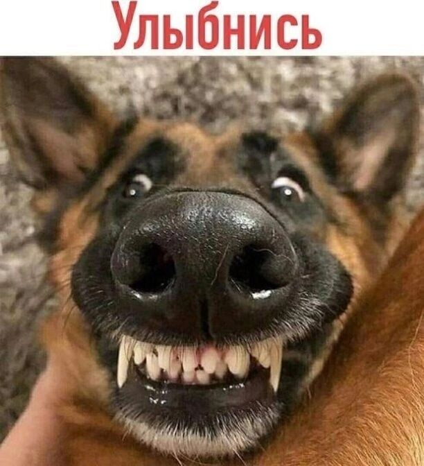 _Улыбни сз и 1 У Ц