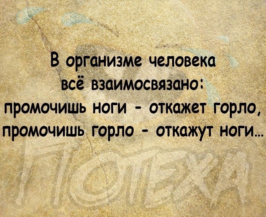 _ _В организме человека всё взаимосвязано промочишь ноги откажет горло промочишьторло откажут ноги