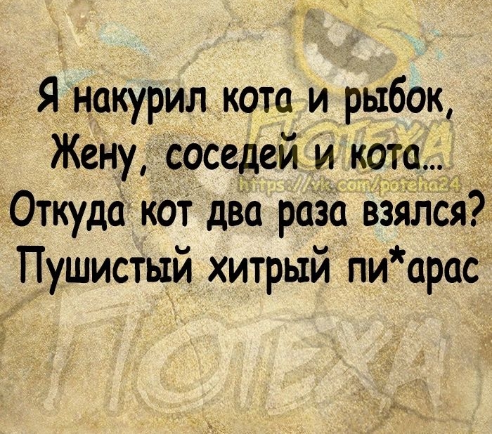 Я накурил кота и рыбок Жену соседей и кота _ Откуда кот два раза взялся Пушистый хитрый пи арас