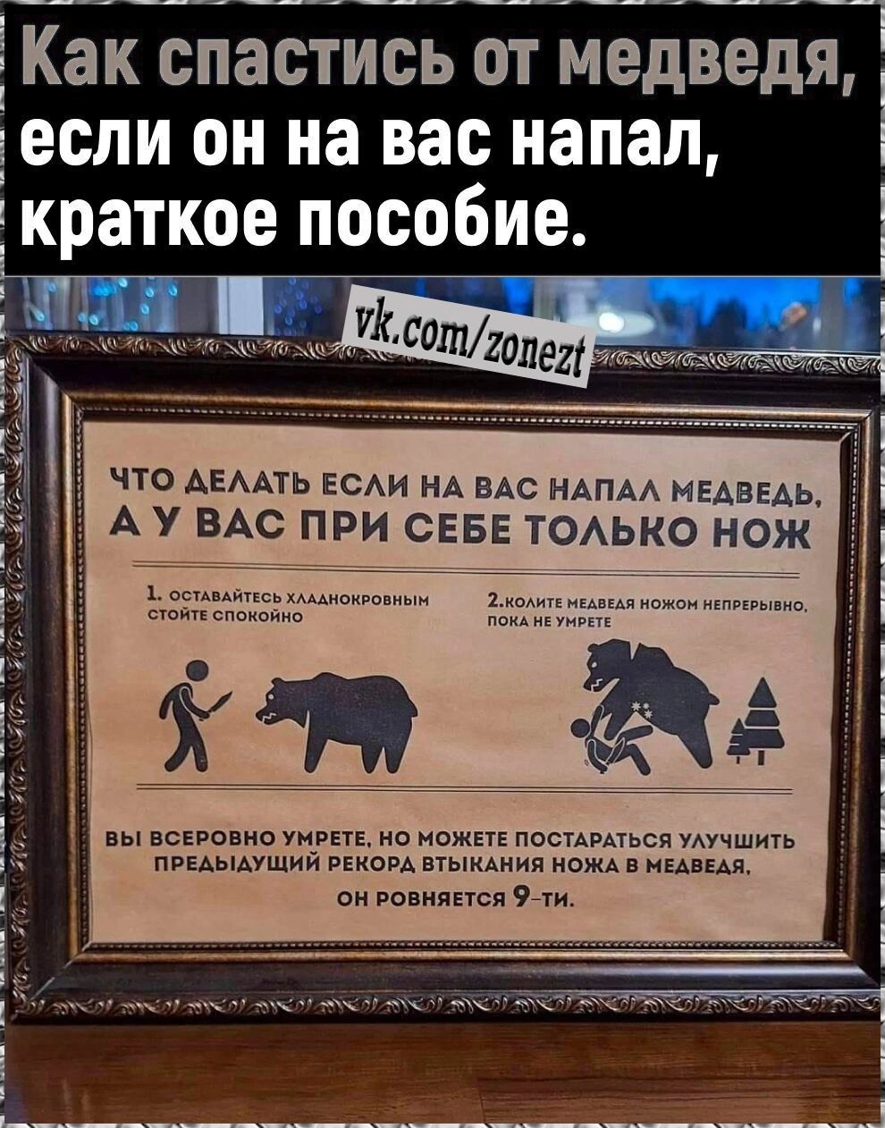 Как спастись от медведя если он на вас напал Ькраткое пособие д то ткгатыі чт АіААТЬ ЕСАИ нА ем НАНА иЕАвЕАЬ А У ВАС ПРИ СЕБЕ ТОАЬКО НОЖ вы всевовио уиупв но им писпвмьсп Мучшии прщии шам втымнип пжА иш