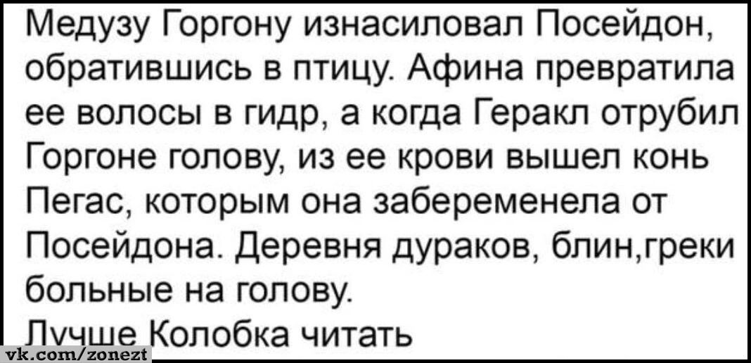 Медузу Горгону изнасиловал Посейдон обратившись в птицу Афина превратила ее волосы в гидр а когда Геракл отрубил Горгоне голову из ее крови вышел конь Пегас которым она забеременела от Посейдона Деревня дураков бпин_греки больные на голову 11353 Колобка читать