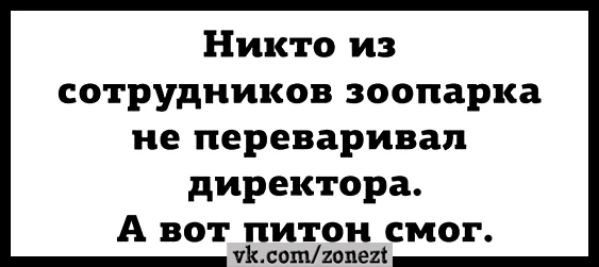 Никто из сотрудников зоопарка ие переваривая директора А вот питон смог уйдемтп