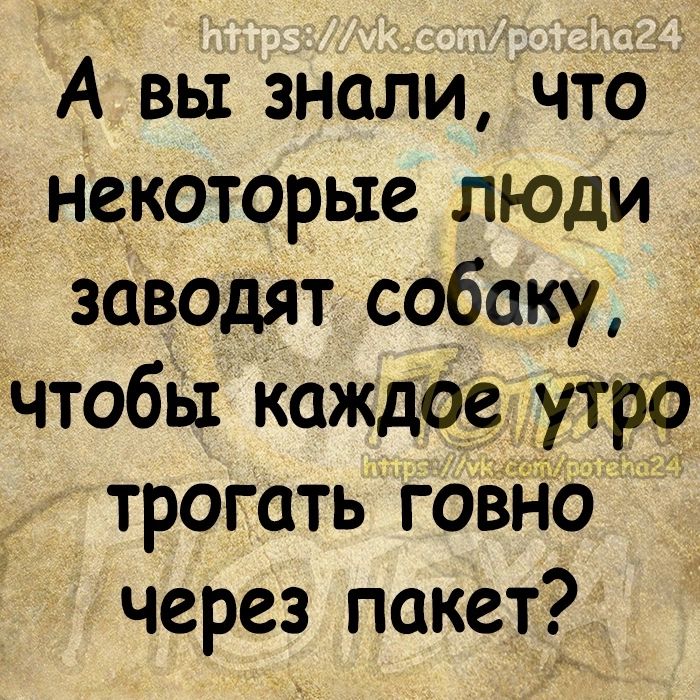 А вы знали что некоторые люди заводят собаку чтобы Каждое утро трогать говно через пакет