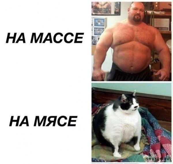 ЛЕ НА МАССЕ НА МЯСЕ