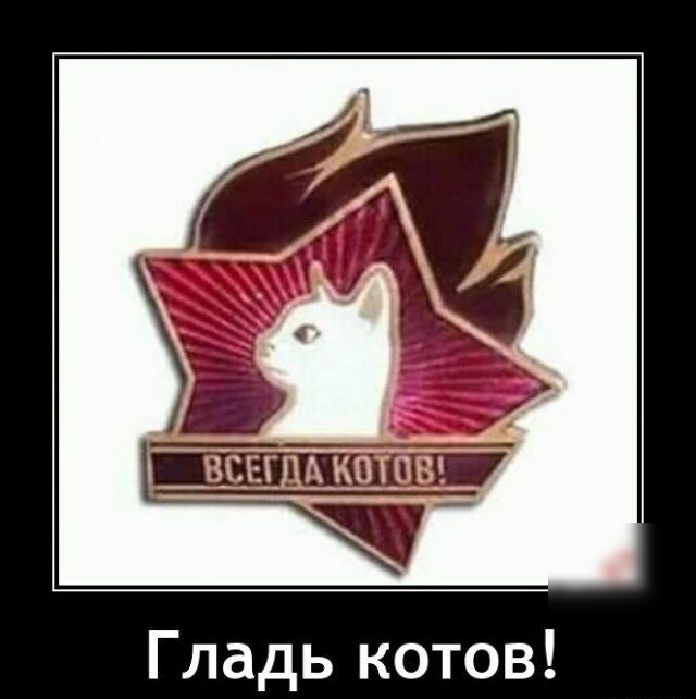 Гладь котов