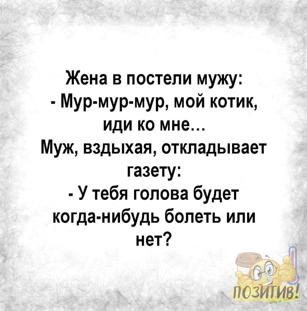 Жена в постели мужу Мур мур мур мой котик иди ко мне Муж вздыхая откладывает газету У тебя голова будет когда нибудь болеть или нет