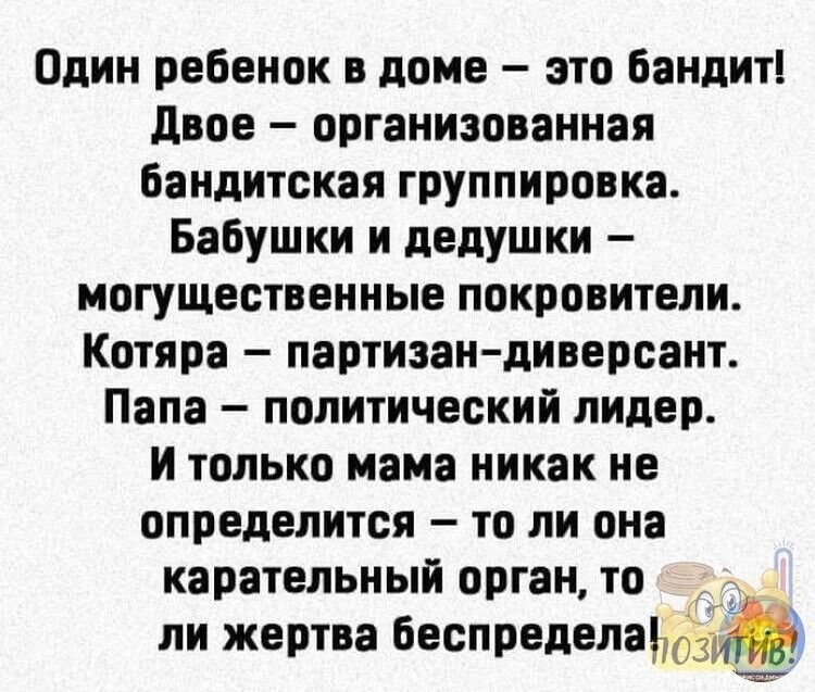 Один ребенок в доме это бандит двое организованная бандиюкая группировка Бабушки и дедушки могущественные покровители Котяра партизан диверсант Папа политический лидер и только мама никак не определится то ли она карательный орган то ли жертва беспиелелаю3