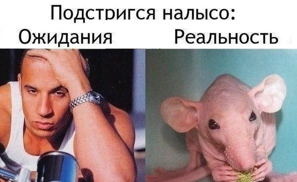 Подствигся налысо Ожидания Реальность