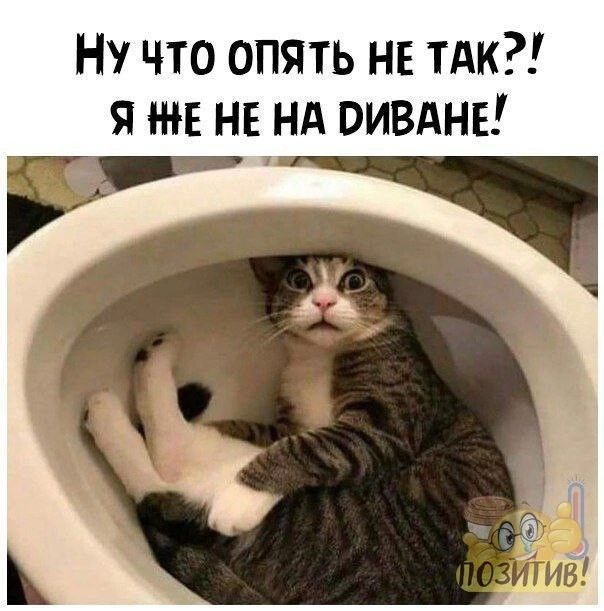 Ну что опять не пик я же не нд пизднв