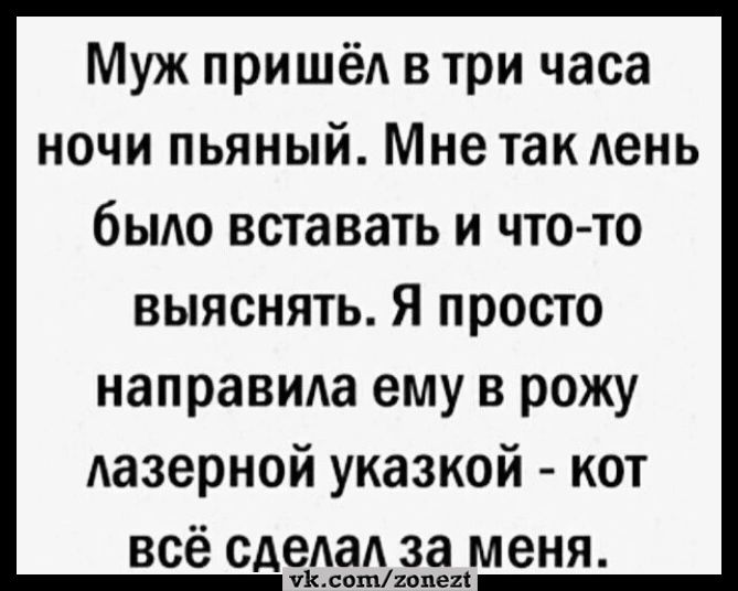 Муж пришёл в три часа ночи пьяный Мне так день было вставать и что то выяснять Я просто направиАа ему в рожу Аазерной указкой кот всё СдесёшА за меня олишпал