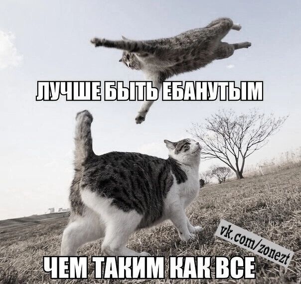 ЁПНЧШЪ