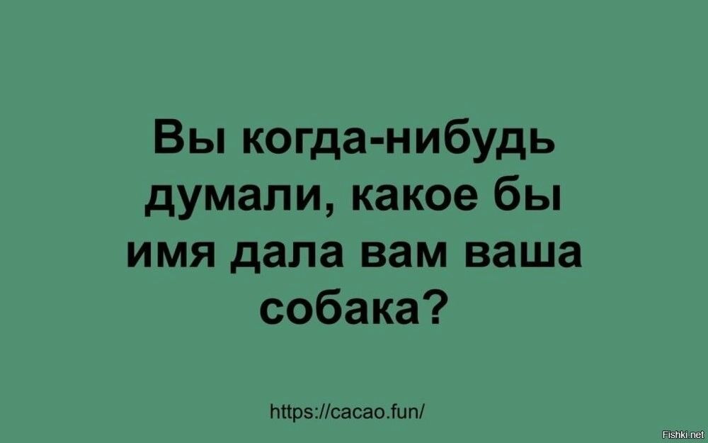 Вы когда нибудь думали какое бы имя дала вам ваша собака пир Нсасап и