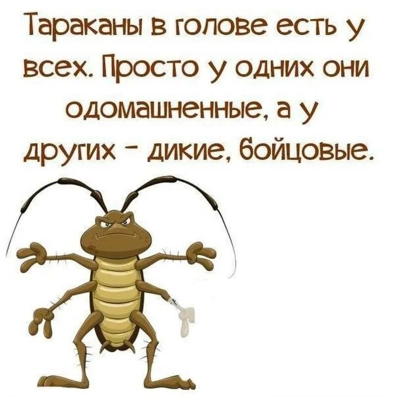 Тараканы в голове есть у всех Просто у одних они одомашненные а у других дикие бойцовые