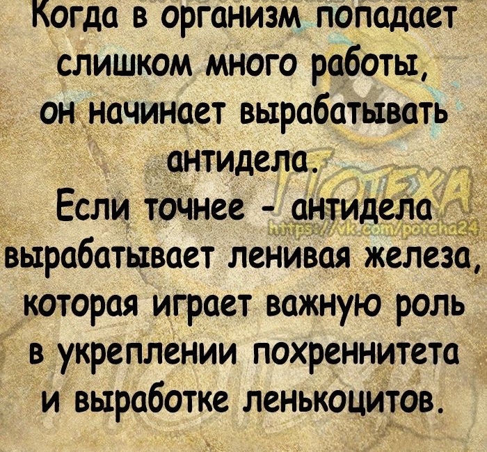 Когда в организм поладает слишком много работы он начинает вырабатывать антидела А Если точнее дрінтидела вырабатывает ленивая железа_ которая играет важную роль в укреплении похреннитета и выработке ленькоцитов