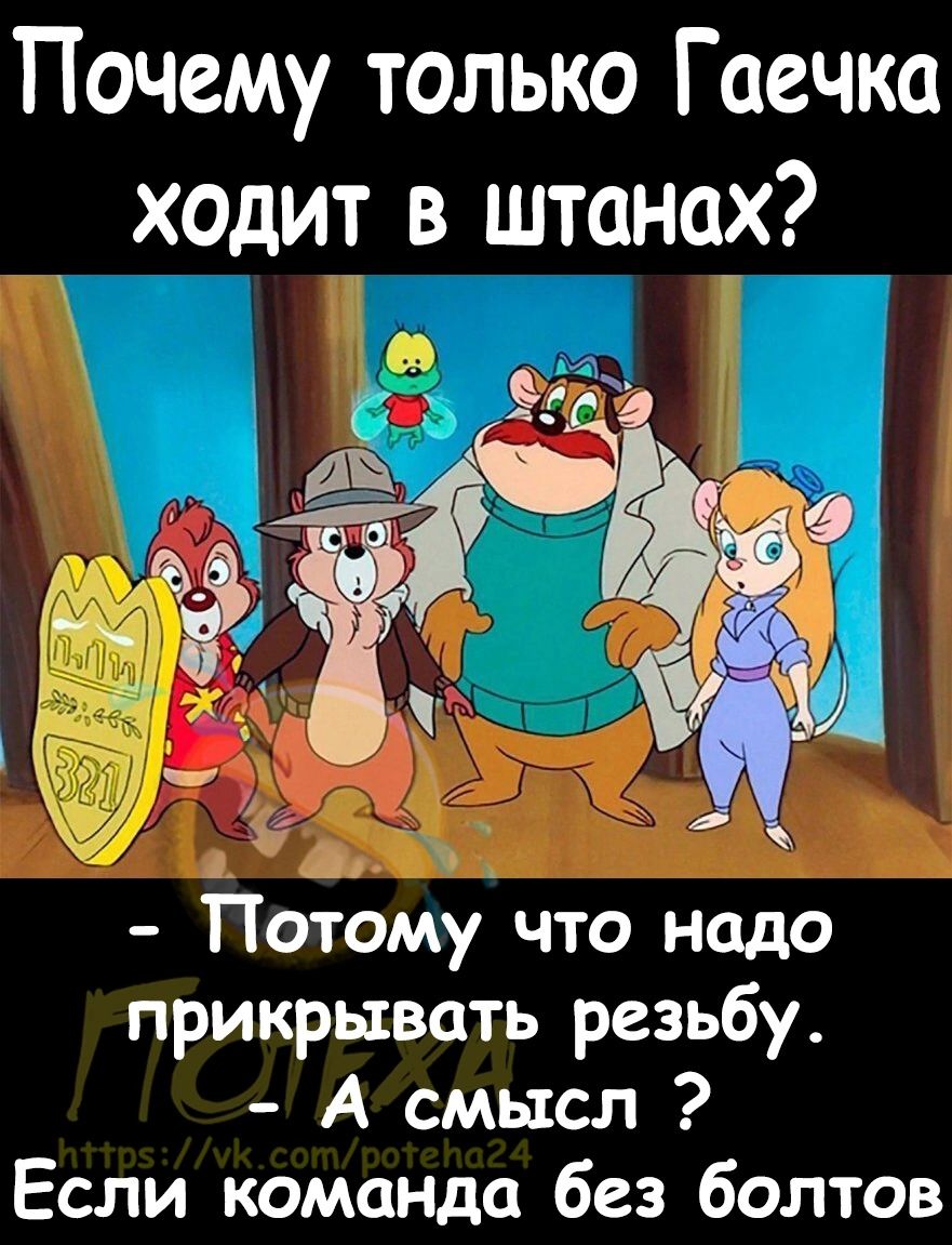 Почему только Гаечка ходит в штанах Потому что надо прикрывать резьбу А смысл Если команда без болтов