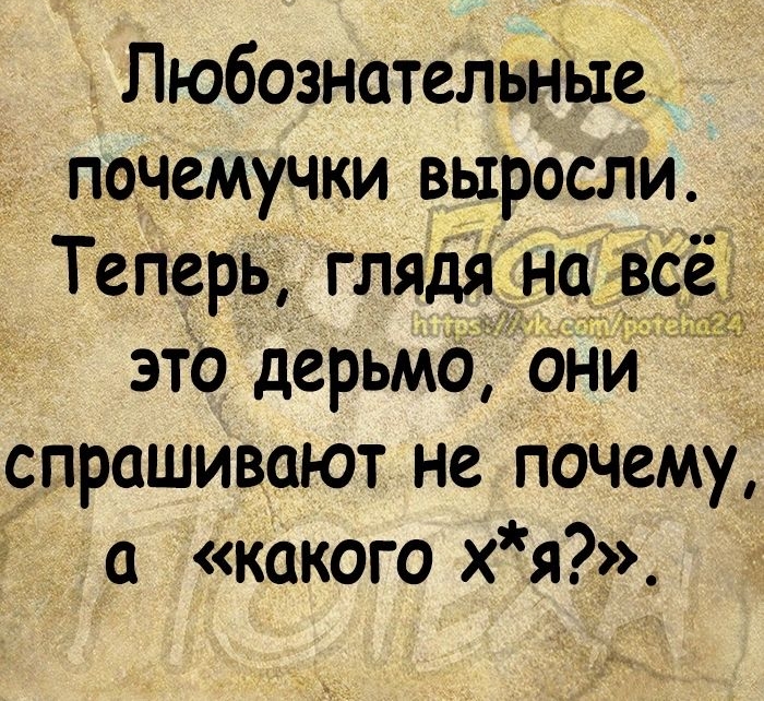 ПюбознательнЫе почемучки выросли Теперь глядя нд все это дерьмб они спрашивают не почему какого хя