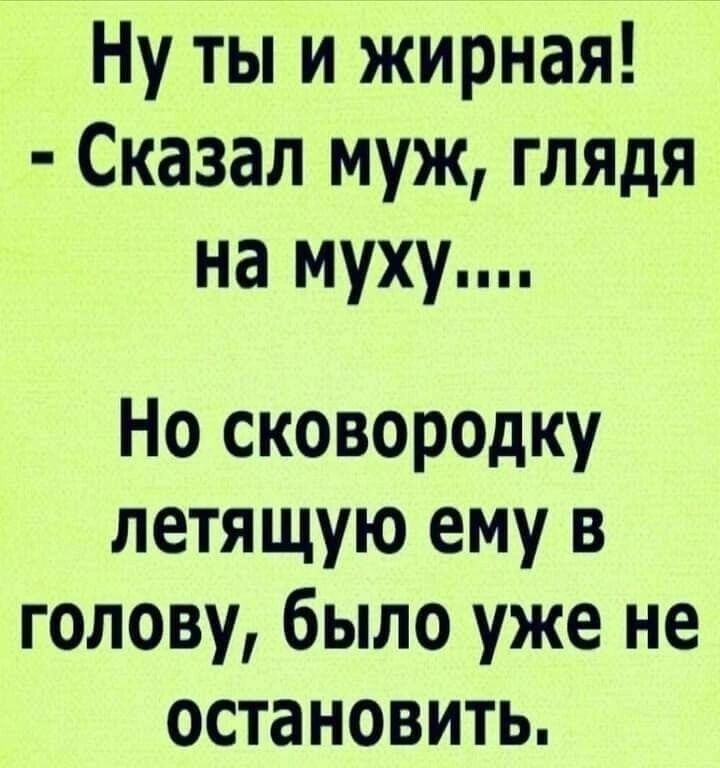 Ну ты и жирная Сказал муж глядя на муху Но сковородку летящую ему в голову было уже не остановить