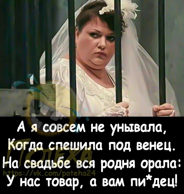 А я совсем не унизила Когда спешила под венец На свадьбе вся родня орала У нас товар а вам пидец