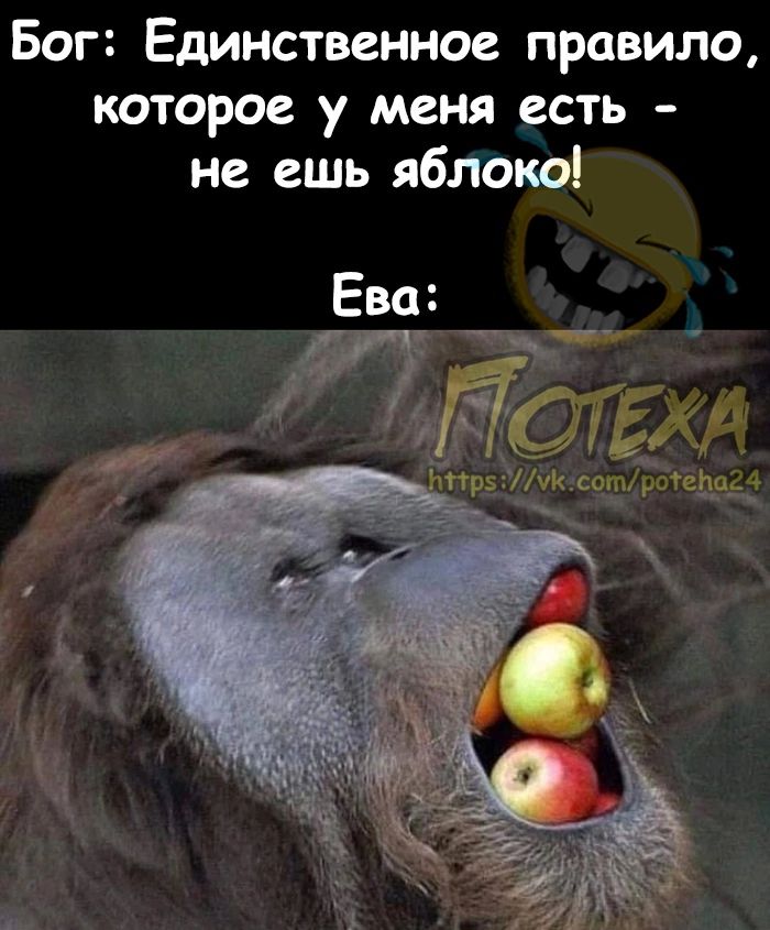 Бог Единственное правило которое у меня есть не ешь яблоко Ева __