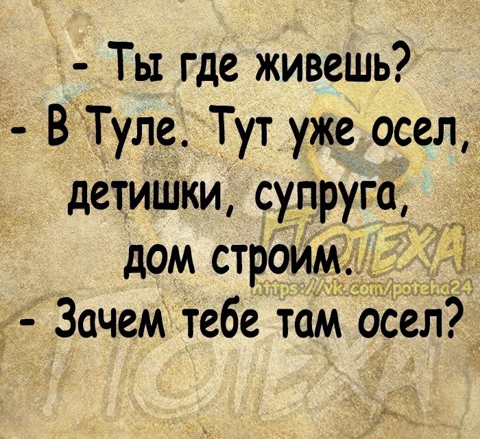 Ты где живешь ВТуле Тут уже осел детишки супруга дом строим 73 Зачем тебе там осел
