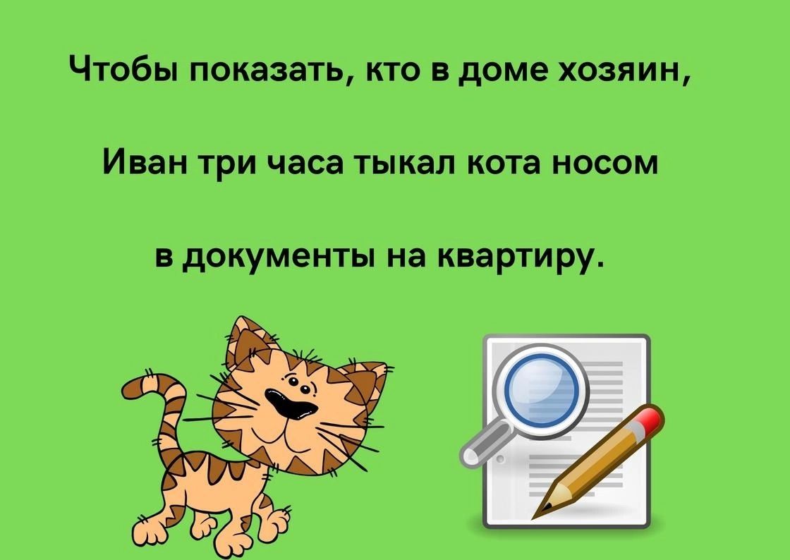 Чтобы показать кто доме хозяин Инн три часа тыиап кота носом документы на квартиру