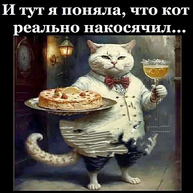 И ТУТ Я поняла ЧТО КОТ реально накзсячил