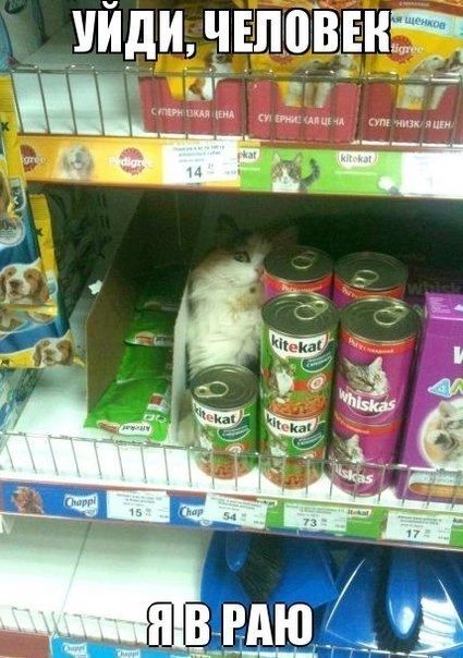 __УЙДЙ чвповнн