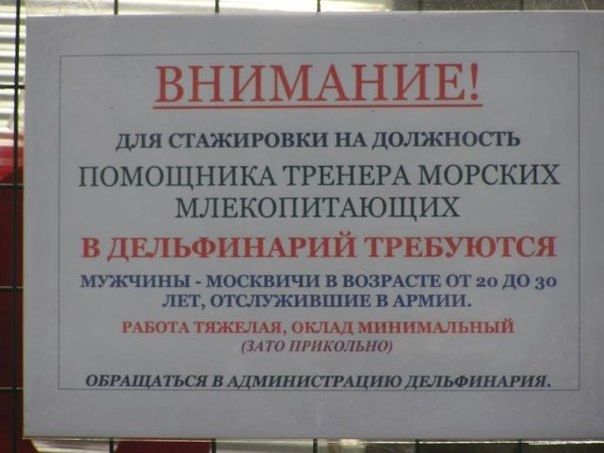ВНИМАНИЕ для смжиюнки иАдолжносгь ПОМОЩНИКА ГРЕНЕРА МОРСКИХ МЛЕКОПИТАЮЩИХ В ДЕЛЬФИНАРИЙ ТРЕБУЮТСЯ мужчины москвичи в поэмапд гг о до 10 лит тслужившин в гмни гижышпклдлминиммпмыи лампы пвп шипа мпиипптмшюддльошшлщ
