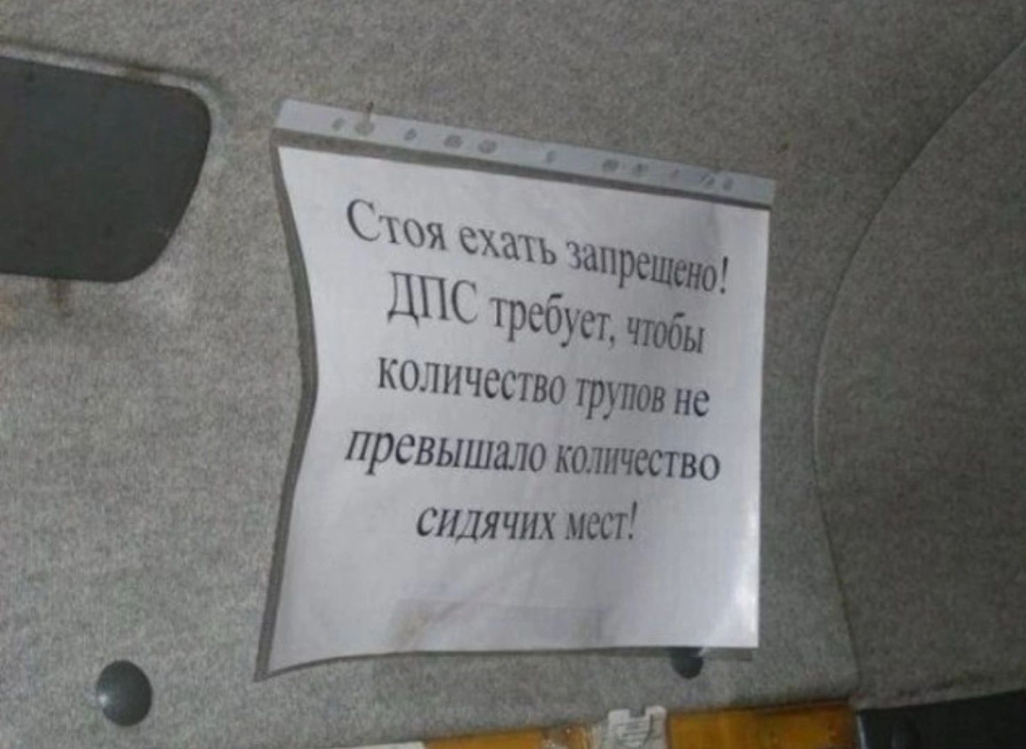 К и см ширь ща гриб под шчсиви ПТт не привитии ктичатво шитих иш
