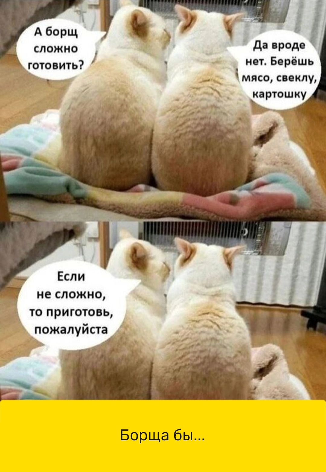 А борщ сложно гошвиы ЕгБврвшь мясо свеклу картошку не сложна О ПрИГООБЬ пажалуйста