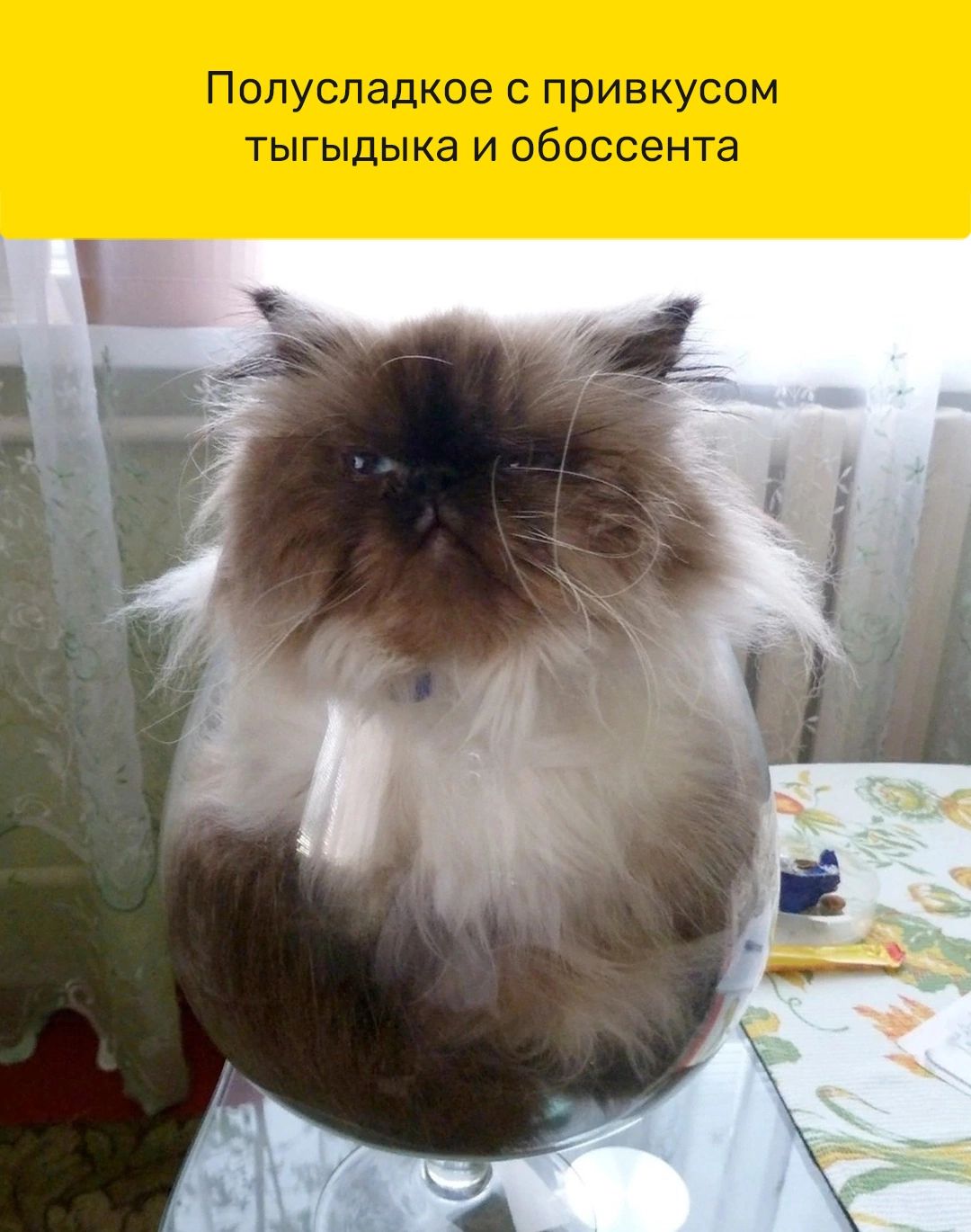 Попуспадкое привкусом тыгыдыка и обоссента