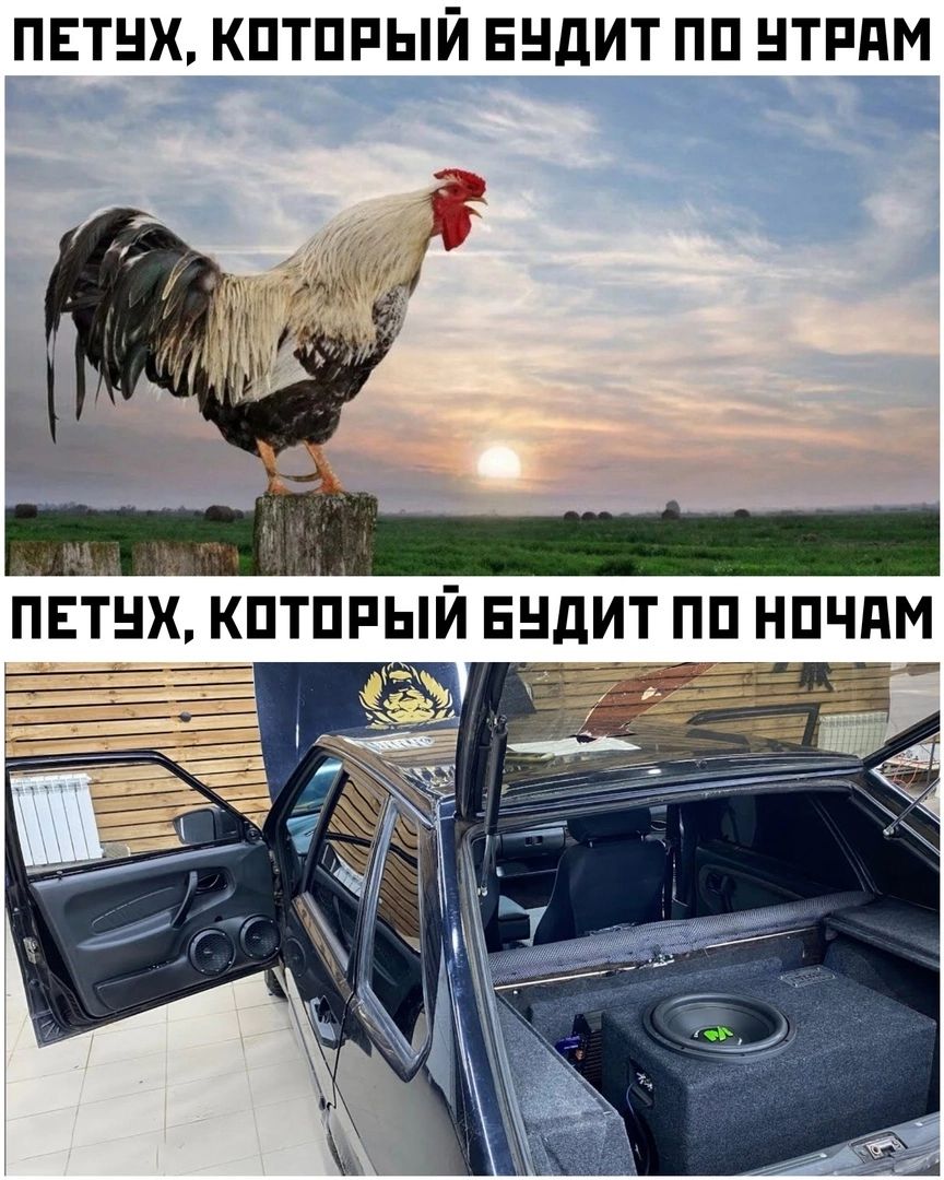 ПЕТНХ КПТПРЫЙ ЕНдИТ ПП НТРПМ __