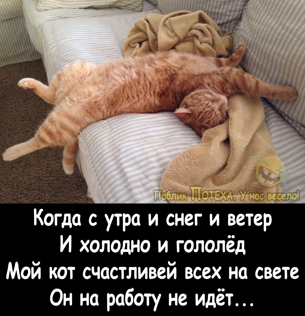 Когда с утра и снег и ветер И холодно и гололёд Мой кот счастливей всех на свете Он на работу не идёт