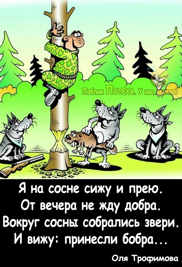 От вечера не жду добра Вокруг сосны собрались звери И вижу принесли бобра Оля Трофимова
