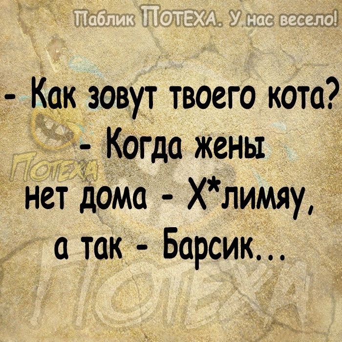 9 ак зовут твоего кота огда жены нет доМа Хлимяу так Барсик