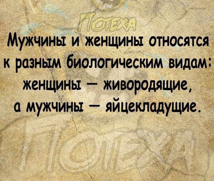 Мужчины и женщины относятся к разным 6иол0гическим видам женЩины живородящие а мужчины яйцекладущие
