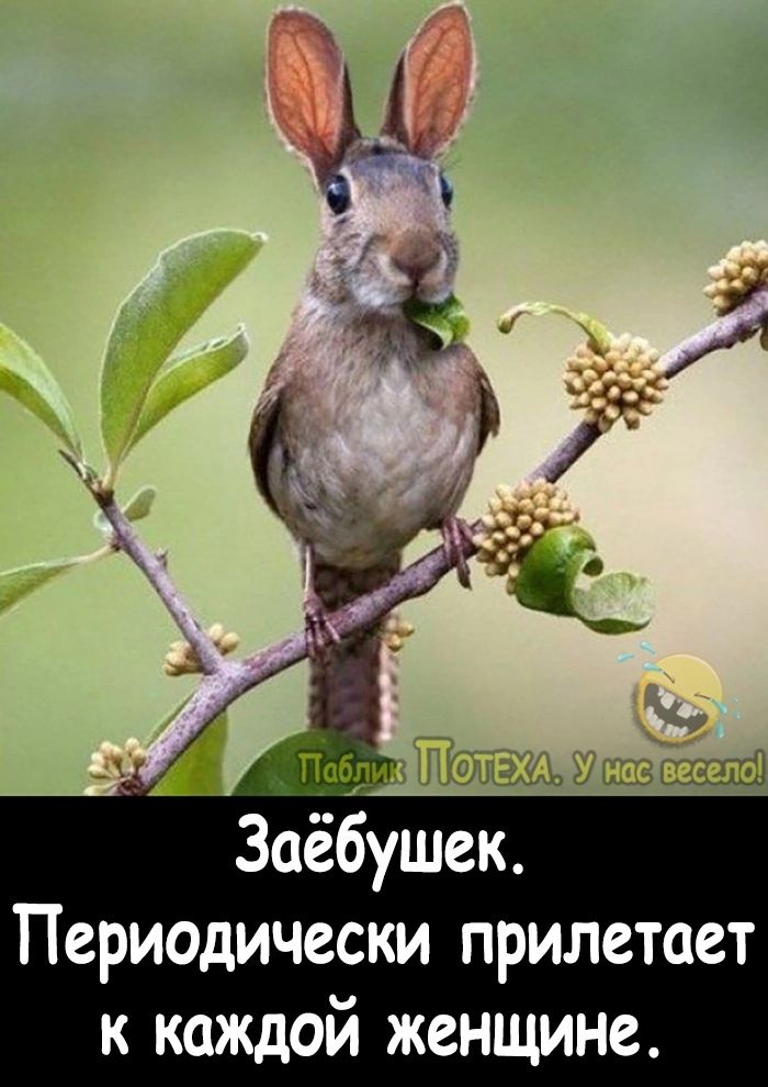 дб Заёбушек Периодически прилетает к каждой женщине