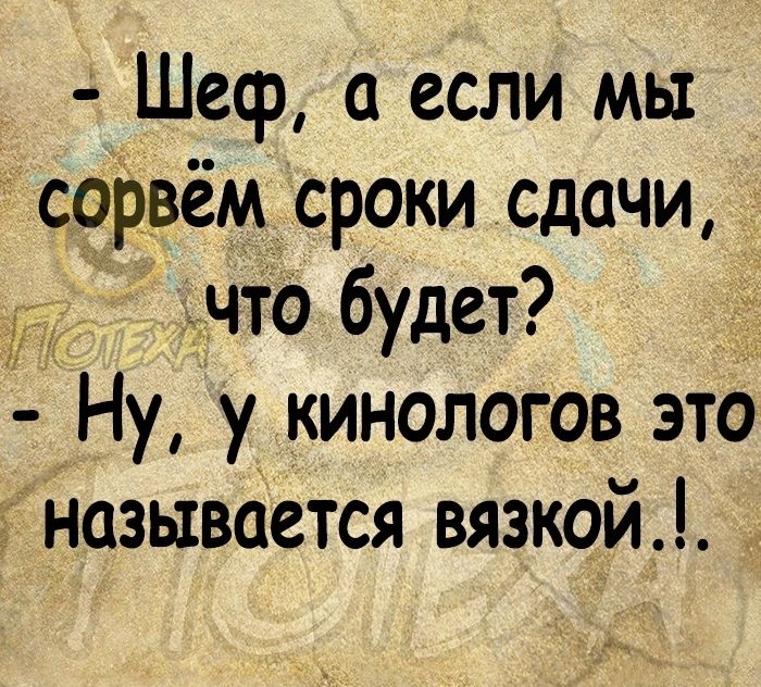 Шеф а если мы сорВём сроки сдачи что будет Ну у кинологов это называется вязкой
