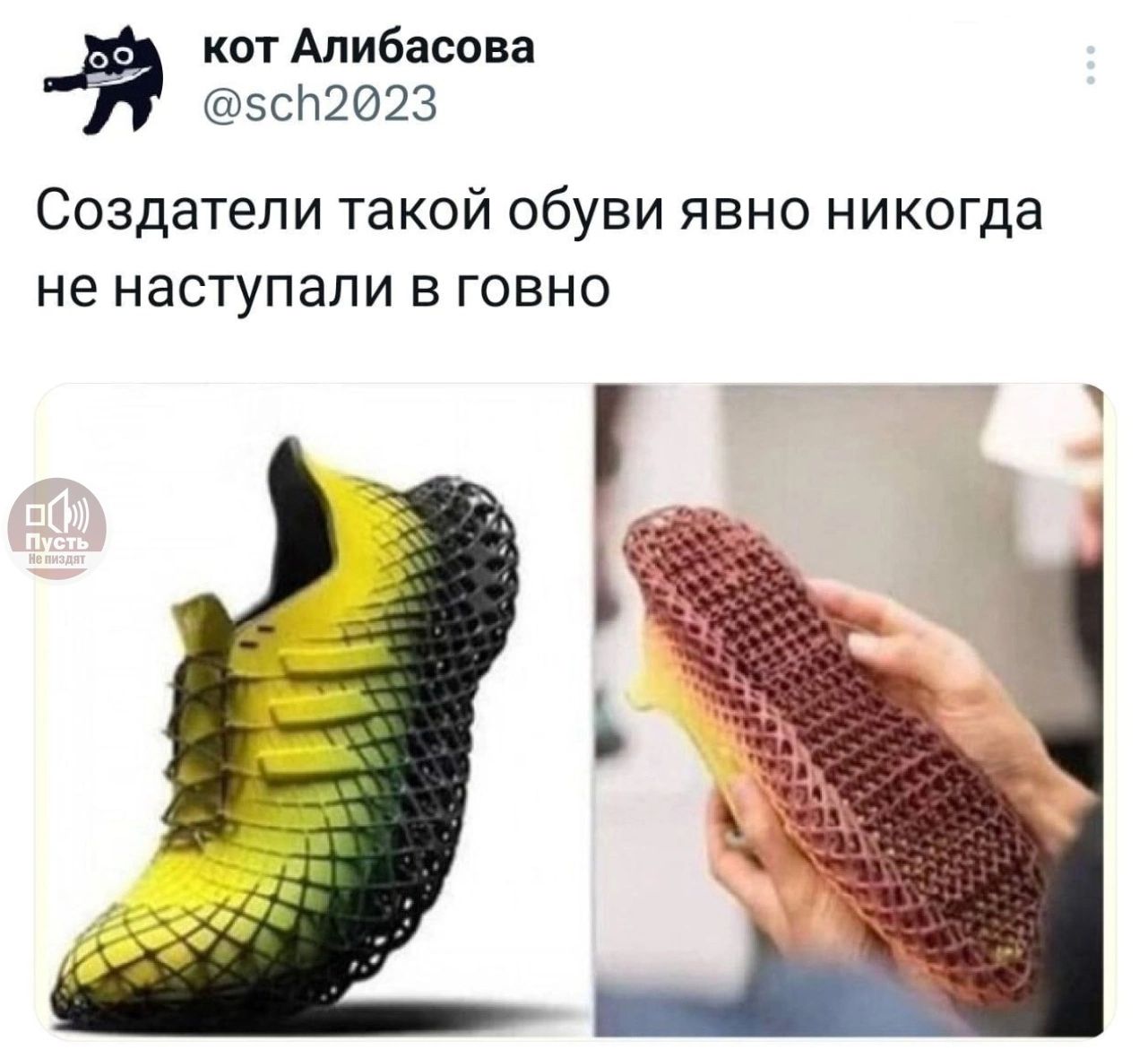 кот Апибасова 5сН2023 Создатели такой обуви явно никогда не наступали В ГОБНО