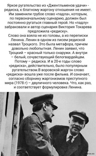 Ярков ругательство из кджентьмеиов удачи редиска бпатному жаргону отношения не имеет Им заменили грубое слово падлад которым по первоначальному сценарию должен был постоянно ругаться главный герой Но падзу забраковали и аагор сценария Вингория Токарева предложила аредисху Слово она взяла не из головы а из переписки Ленина Ленин а одном из писем редискпй назвал Троцкого 910 была метафоре причем дов