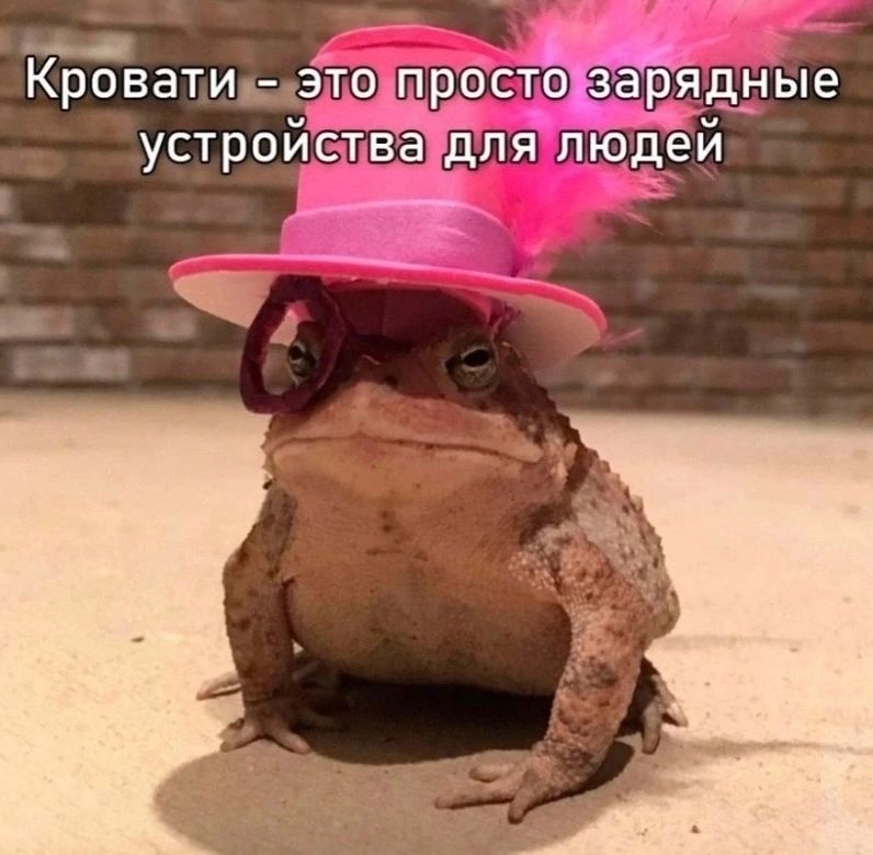 Кровати Это просто зарядные УСТРОЙСТВЗ ДЛЯ ЛЮДЕЙ