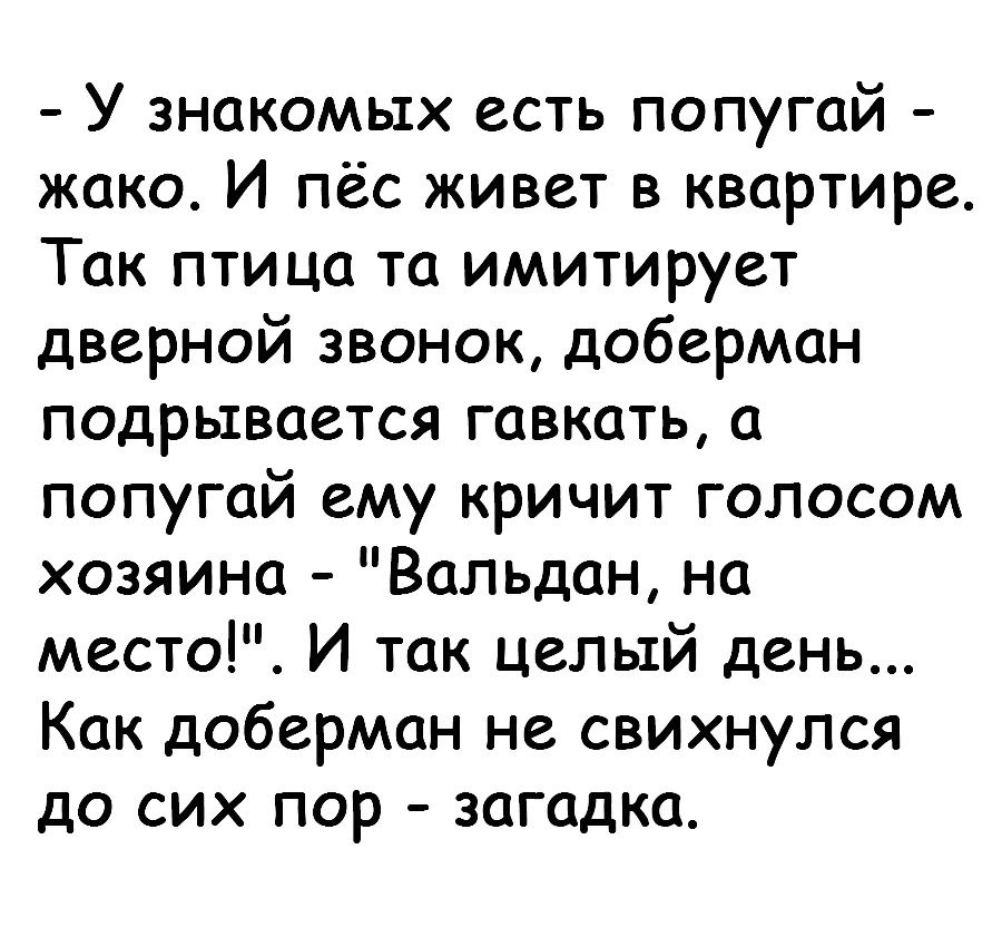 У знакомых есть попугай жако И пёс живет в квартире Так птица та имитирует дверной звонок доберман подрывается гавкать а попугай ему кричит голосом хозяина Вальдан на место И так целый день Как доберман не свихнулся до сих пор загадка