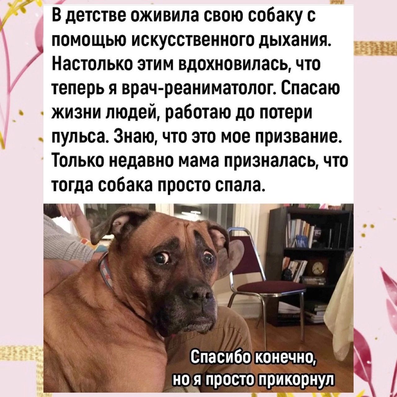 в детстве оживипа свою собаку ПОМОЩЬЮ ИСКУСШВЕЩЮГП дыхания Настолько ЭТИМ вдохновилась ЧТП теперь я врач реаниматолог Спасаю жизни людей работаю до потери пульса Знаю ЧТО ЗП МОЕ призвание Только недавно мама призналась что тогда собака просто спала