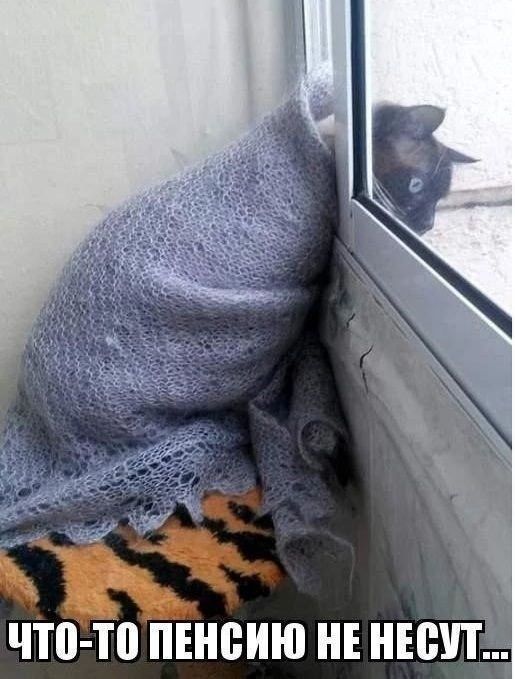 что то ПЕНВИЮ НЕ НЕСУТ