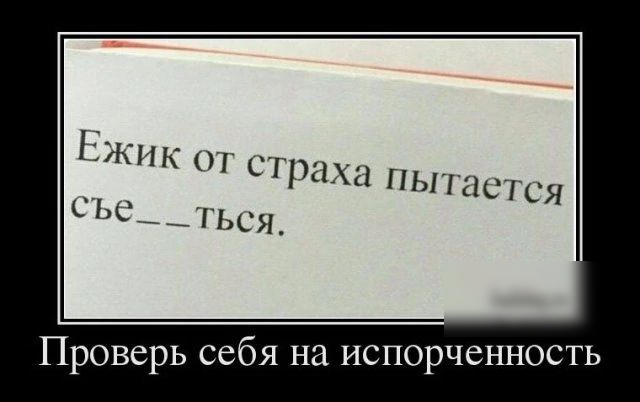 Ёжик р сл _ __ ся и пышсшя ИМАШ