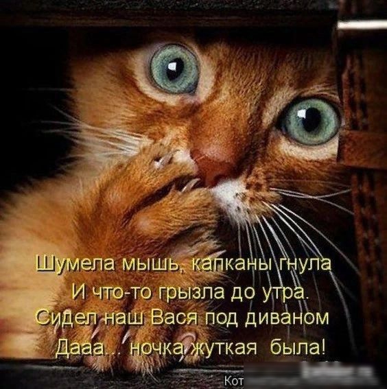 эн И чате то гр па до Ввод под дивёдЬм