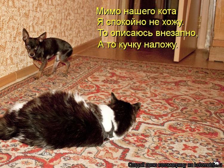 1 Мишу аи его кота 10 НЕ ХО 4 Ты и саюсь внез ц