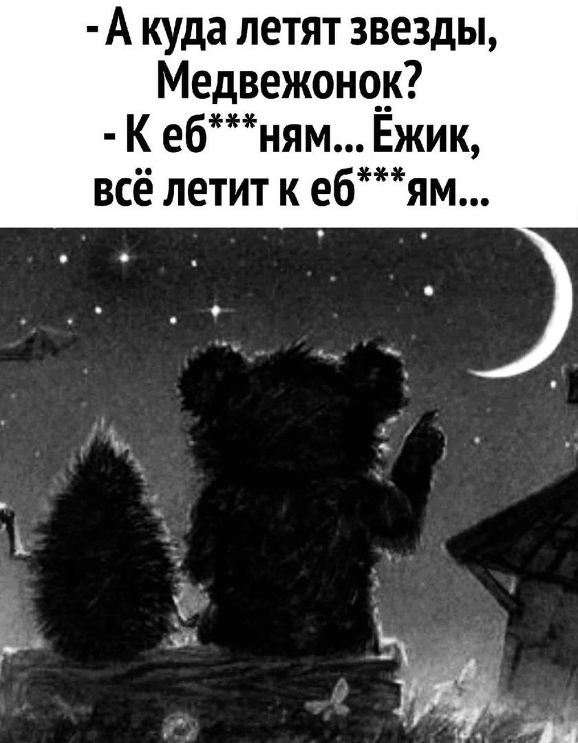 А куда летят звезды Медвежончк К ебням Ежик всё летит к ебям